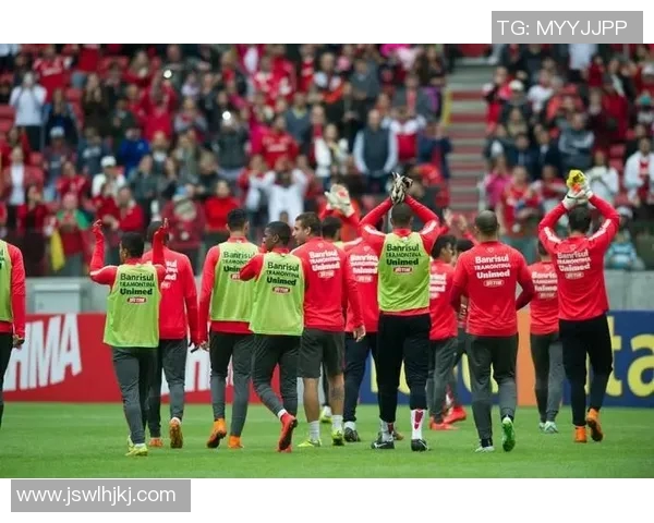 米美洲与巴西国际排名对比分析及其影响因素探讨 米美洲与巴西国际排名对比分析及其影响因素探讨