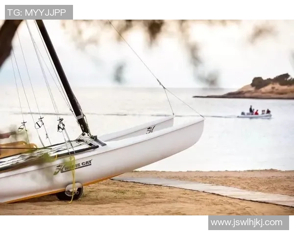 雷斯与阿里安曼的精彩对决分析及赛前预测展望